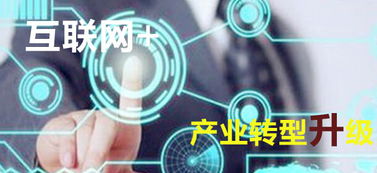 互聯(lián)網(wǎng)信息技術(shù)服務(wù) 驅(qū)動產(chǎn)業(yè)轉(zhuǎn)型升級的江蘇新引擎